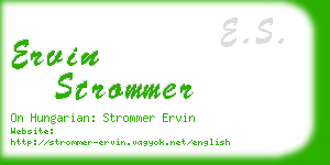 ervin strommer business card